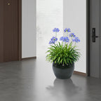 3 Pieces Ceramic Flowerpot Planter for Patio, Garden or Windowsills