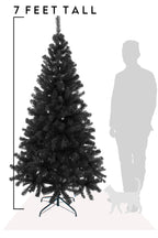 Black Canadian Pine Christmas Tree
