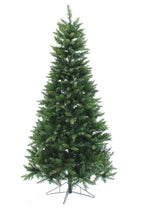 6.5' Lincoln Fir Christmas Tree
