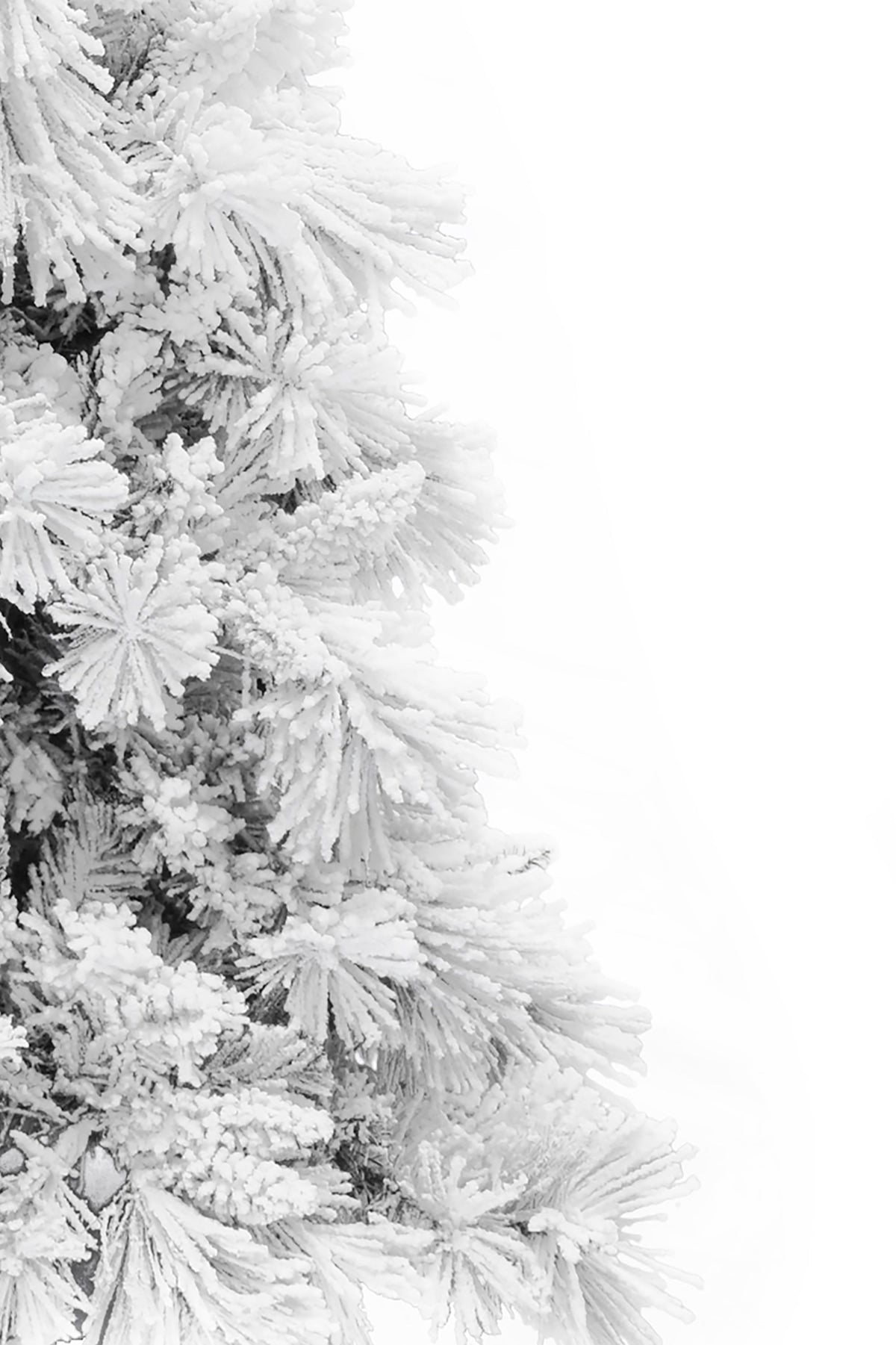 7.5' Slim Snow Flocked Atka Christmas Tree with Metal Stand and Instant Connect