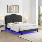 Queen Upholstered Bed Button Tufted with Curve Design